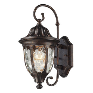 Amy 1-Light Outdoor Wall Lantern