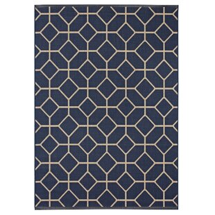 Eason Navy beige Indoor outdoor Area review