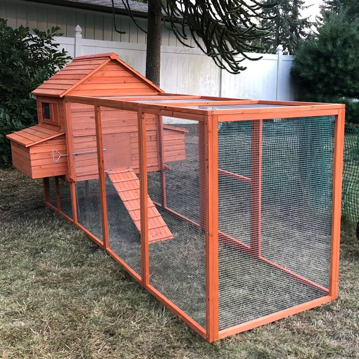 Multi Level Wooden Chicken Coop