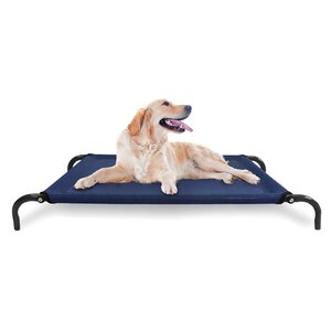 Elevated Pet Dog Bed/Cot