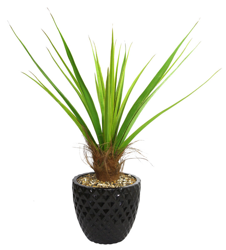Wildon Home ® Tall Agave Floor Plant in Fiberstone Pot & Reviews Wayfair