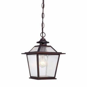 Bruggeman 1-Light Outdoor Hanging Lantern