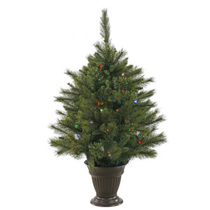Cashmere 3.5' Green Pine Artificial Christmas Tree with 50 LED Multi-Colored Lights