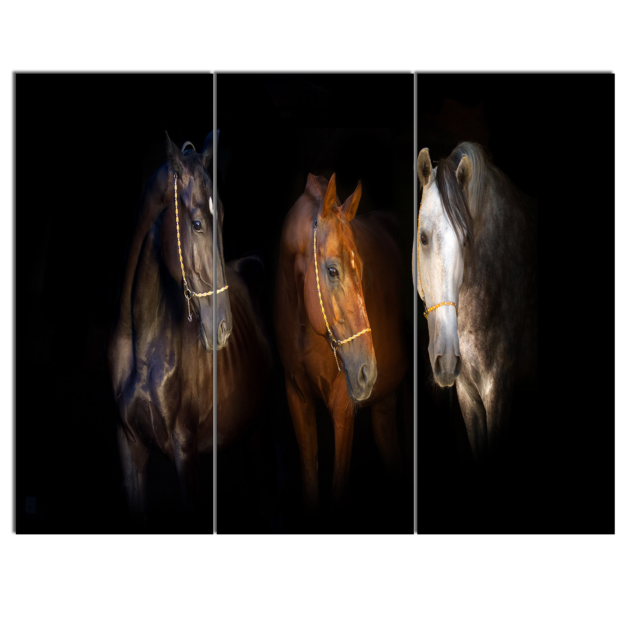 Designart Three Horses With Golden Bridle 3 Piece Wall Art On Designart Three Horses With Golden Bridle 3 Piece Wall Art On Wred Canvas Set Wayfair