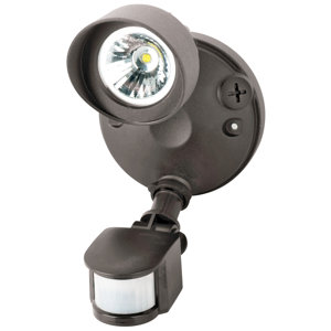 LED Outdoor Spotlight