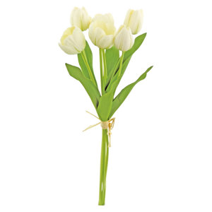 Tulip Branch