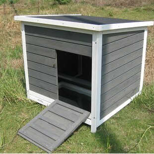 Duck Coop Wayfair