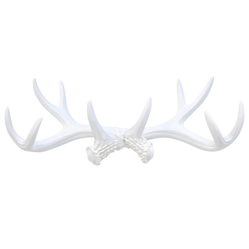 Near And Deer Faux Taxidermy Antler Wall Décor Reviews Wayfair Faux Taxidermy Antler Wall Décor