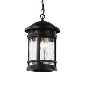 Ashberry 1-Light Outdoor Hanging Lantern