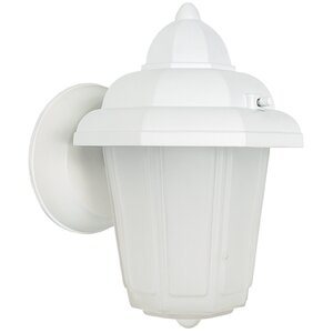 1-Light Outdoor Sconce