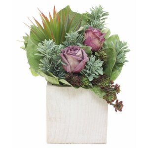 Natural Succulents Roses Centerpiece in Planter