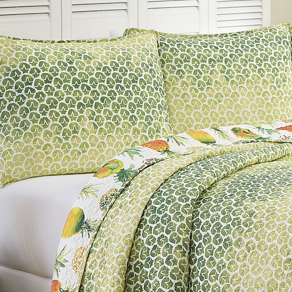 coverlets & quilt sets you'll love in 2019 | wayfair