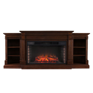Raffin Reeder Widescreen and Bookcases in Espresso Electric Fireplace by Darby Home Co