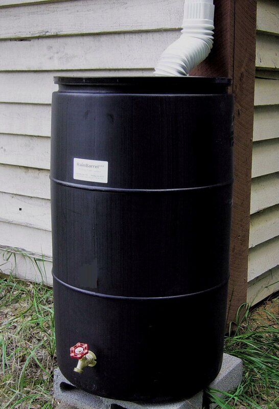 RainBarrelUSA 55 Gallon Rain Barrel & Reviews | Wayfair