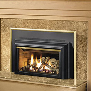 Direct Vent Wall Mount Gas Fireplace Insert by Napoleon