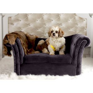 Dachshund Dog Sofa