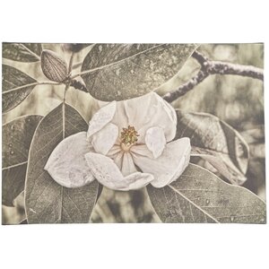 White Magnolia Wrapped Photographic Print on Canvas