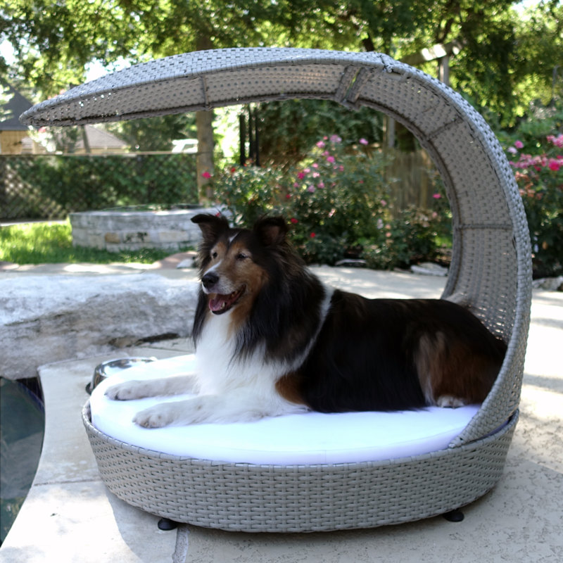 Outdoor Hooded Dog Chaise Lounge & Reviews AllModern