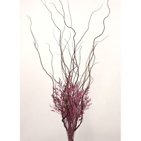 August Grove Tall Curly Willow And Caspia Dried Flower Fl August Grove Tall Curly Willow And Caspia Dried Flower Fl Arrangement Wayfair