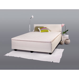 Schlitten New Star von Ted Bed