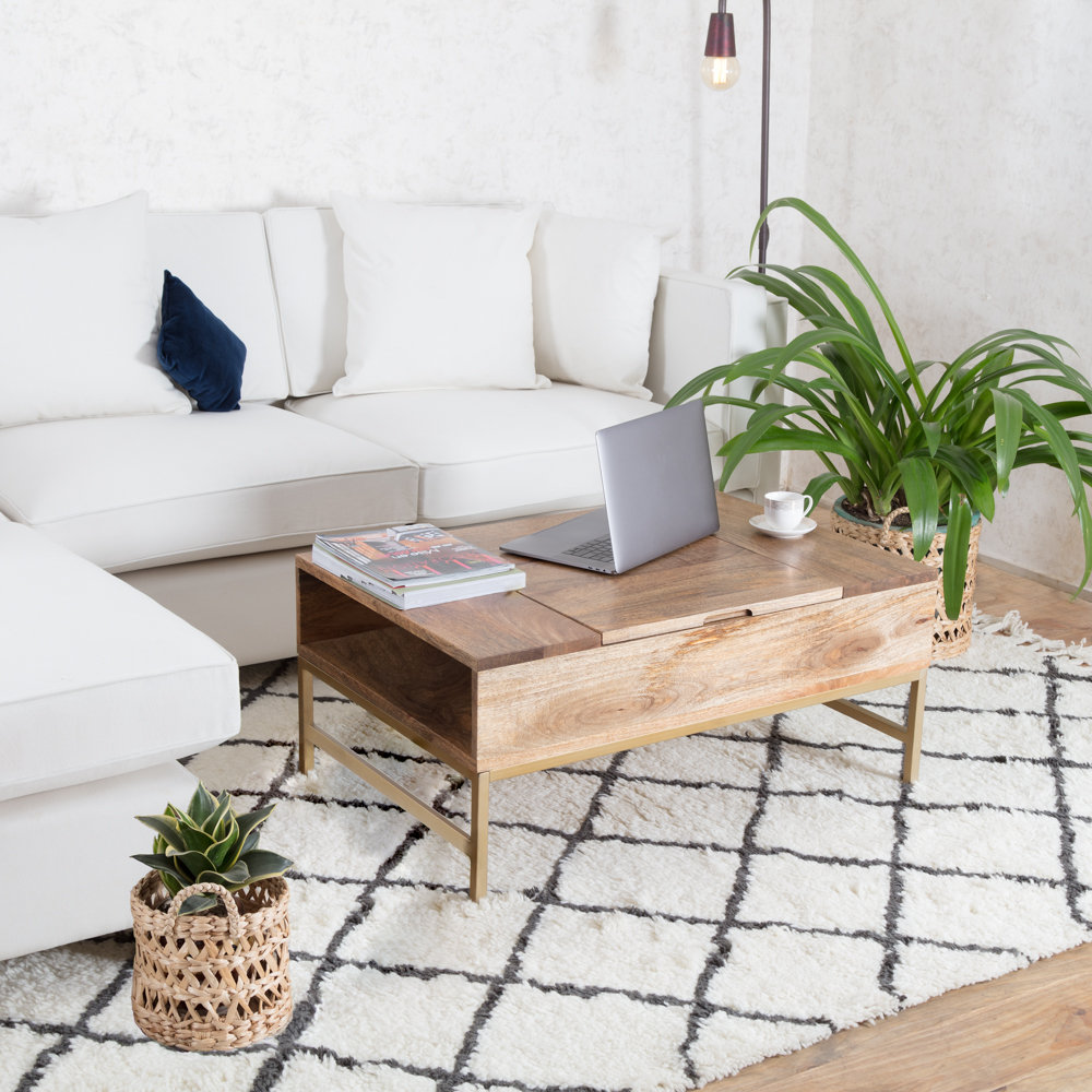 Union Rustic Norris Lift Top Storage Coffee Table Reviews Wayfair