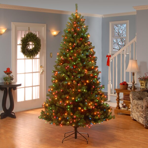 Christmas & Holiday Decorations You'll Love | Wayfair