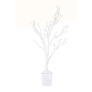 Manzanita Tree Branches Wayfair Search Results For Manzanita Tree Branches