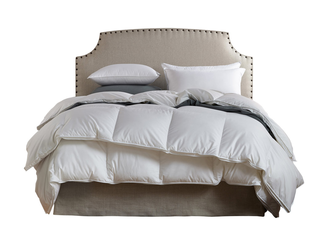 Down Inc. Down Filled Luxury Weight Duvet Insert & Reviews Wayfair