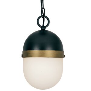 Needham 1-Light LED Outdoor Pendant