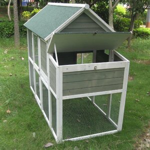 Coops and Feathersu2122 Superior Hen House with Free Range Door