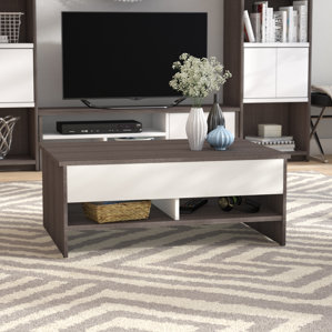 Frederick Storage Coffee Table with Lift Top by Latitude Run