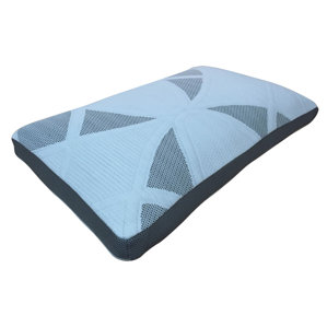 Memory Foam Standard Pillow by Alwyn H..