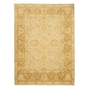 Mavelikkara Hand-Knotted Beige Area Rug