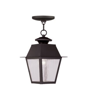 Cynda 1-Light Outdoor Hanging Lantern