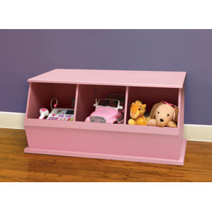 Kids Vanities Bookcases Birch Lane Go To Storage Cubby