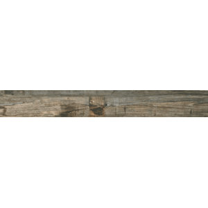 Salvage 6