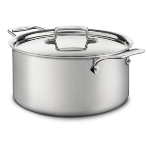 d5 Brushed Stainless Steel Stock Pot with Lid