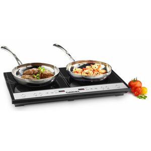 Double Induction Burner for Countertop Use