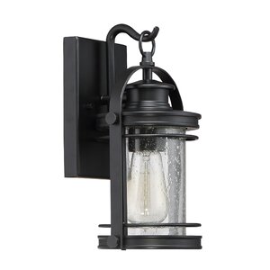 Ashton 1-Light Outdoor Wall Lantern