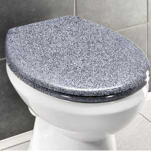 WC-Sitz Ottana länglich von Wenko