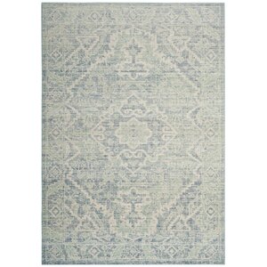 Chauncey Seafoam / Blue Area Rug