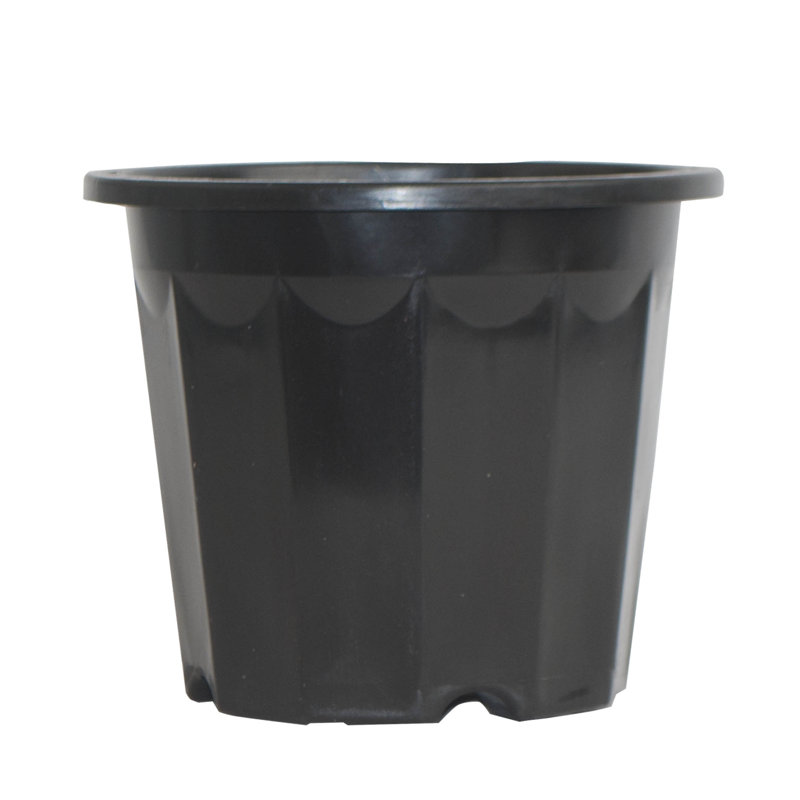 Aleko Plastic Nursery Pot Planter Wayfair Plastic Nursery Pot Planter Out Of Stock