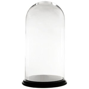 Cloches & Snow Globes You'll Love | Wayfair