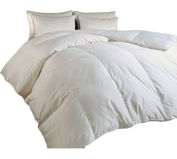 700 Thread Count Down Alternative Comforter & Reviews Joss & Main