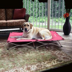 Dog Beds You'll Love | Wayfair