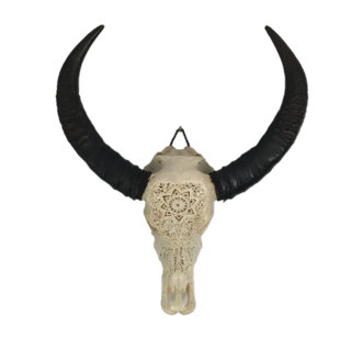 Animal Skull Wall Decor Wayfair Co Uk Water Buffalo Skull Wall Décor