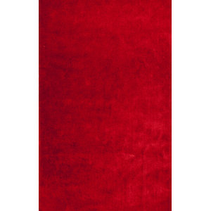 Andre Tomato Red Indoor/Outdoor Area Rug