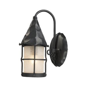 Rustica 1-Light Outdoor Wall Lantern