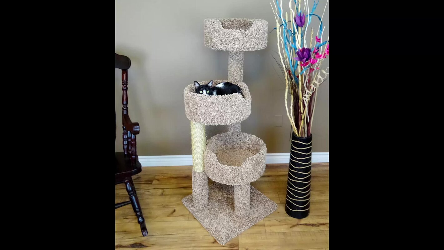 New Cat Condos 52" Deluxe Cat Tree & Reviews Wayfair