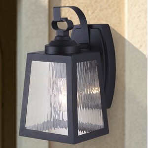 Bronte 1-Light Outdoor Wall Lantern